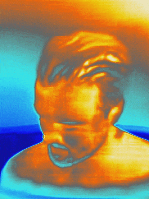 Undoctored FLIR Thermal Video - available in the XR for all of your clients